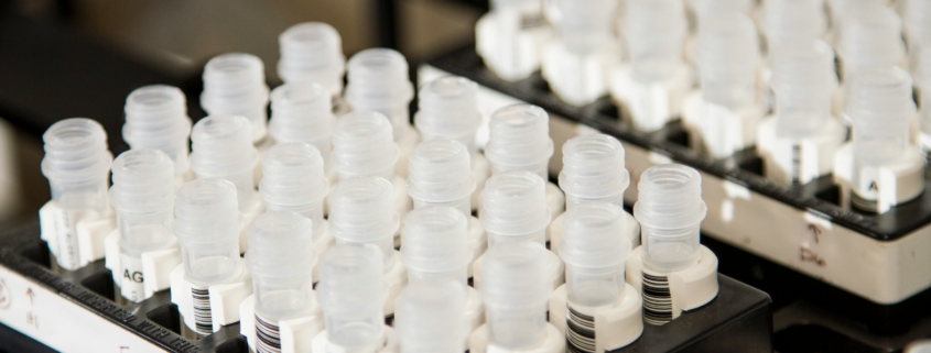 DGr Pharma is hiring a Document Manager, (e-)Archivist and Personnel File Administrator in Breda
